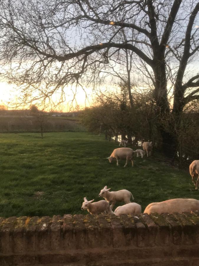 Kasteel Landgoed Crayenstein B&B Tricht Zewnętrze zdjęcie