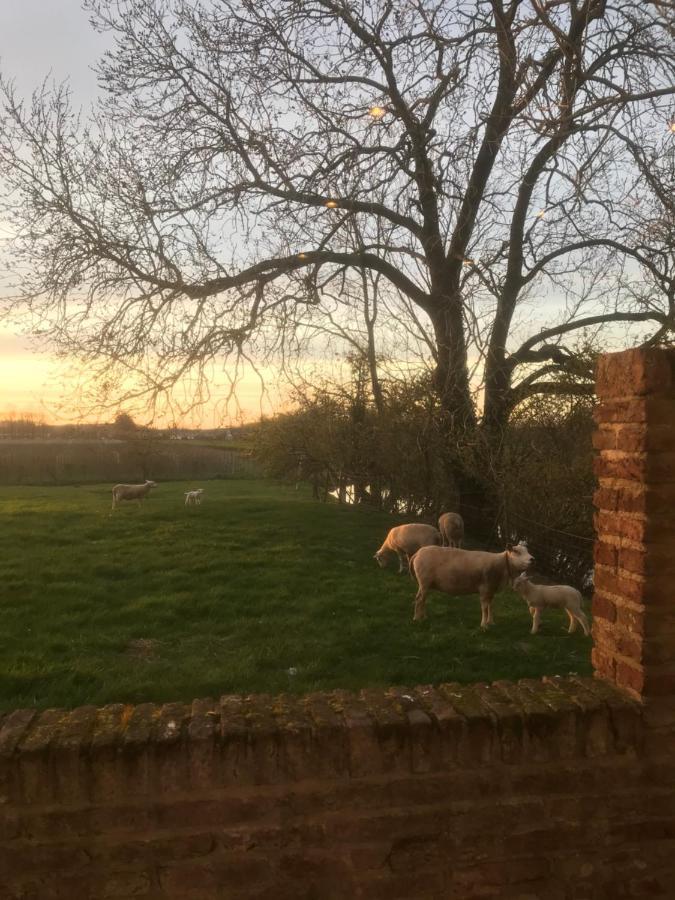 Kasteel Landgoed Crayenstein B&B Tricht Zewnętrze zdjęcie