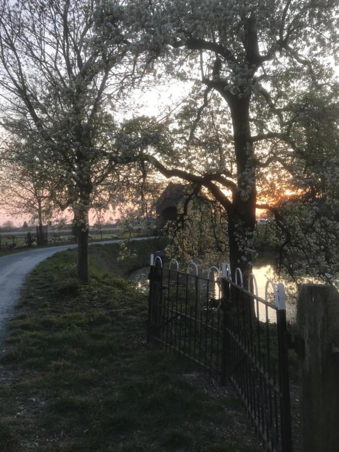 Kasteel Landgoed Crayenstein B&B Tricht Zewnętrze zdjęcie