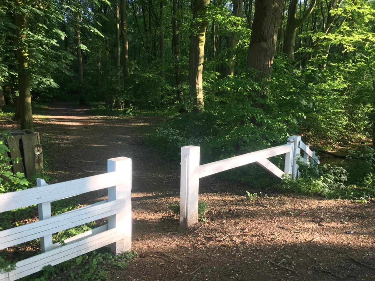 Kasteel Landgoed Crayenstein B&B Tricht Zewnętrze zdjęcie
